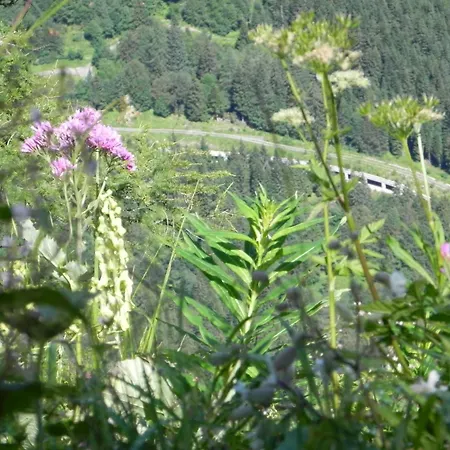 In * Tröpolach