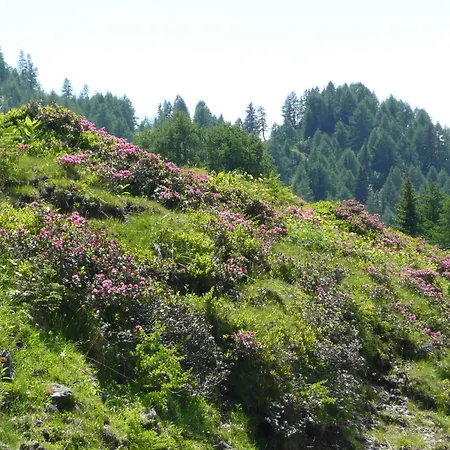 In Near Lift Апартаменты